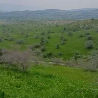 قطعه زمین