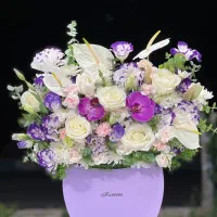 باکس بنفش خاص و زیبا کد ۱۳۳۲ گلاریس