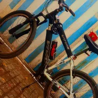 دوچرخه ویوا اصل تایوان