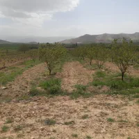 باغ کمالوند