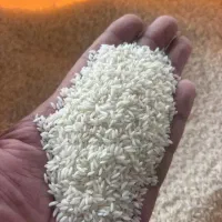 برنج عنبربو هندی ارزان