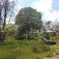 سهام ۱۰متر تجاری