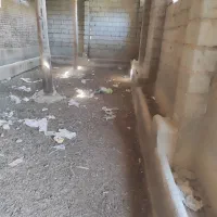 فروش و اجاره دامداری به متراژ 1000متر|اجارهٔ دفتر صنعتی، کشاورزی، تجاری|میاندوآب, |دیوار