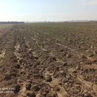 فروش یک هکتار زمین دیمی