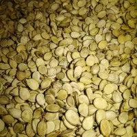 تخمه هندوانه|خوردنی و آشامیدنی|شیراز, سعدیه جنوبی|دیوار