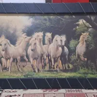 تابلو تزیینی|تابلو، نقاشی، عکس|تهران, جهاد|دیوار