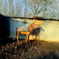 فروش خیلی فوری