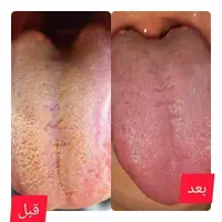 همایش عکس زبان