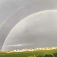 آموزش ترید و بازار های مالی