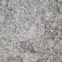 تفاله چغندر دامی