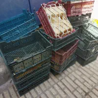 تعداد100 عددسبد سالم تازه