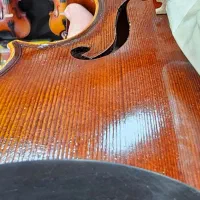 ویولن تی‌اف 00800|ویولن|محمدیه-قزوین, |دیوار