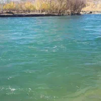 ویلای ساحلی