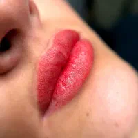 مدل میکروبلیدینگ و شیدینگ لب|خدمات آرایشگری و زیبایی|لاهیجان, مهرگان|دیوار