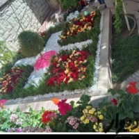 خدمات باغبانی باغچه کاری تعویض خاک گلدان کاشت.گل