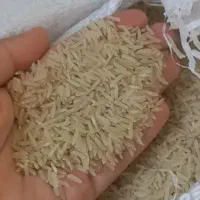 طارم فجر فریدونکنار فوق عطری فوق ممتاز بشرط ضمانت|خوردنی و آشامیدنی|تهران, قصر فیروزه ۱|دیوار