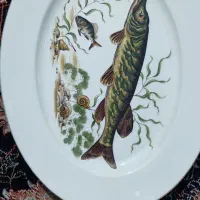 دیس قدیمی . اصل آلمان. بسیار زیبا و چشم نواز