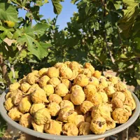 فروش انجیر ومسقطی استهبان