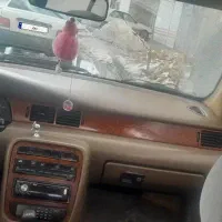 سمند مدل ۸۲