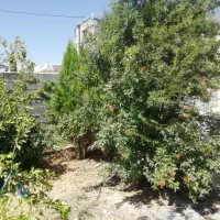 منزل ویلایی ۳۰۰ متر ۱۱۰ متر زیربنا کلاشی تپه رش|اجارهٔ خانه و ویلا|سرپل ذهاب, |دیوار