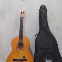 گیتار پارسی (Parsi m3)