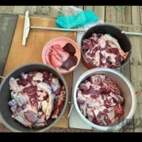 گوسفند زنده کربلای|حیوانات مزرعه|ری, |دیوار