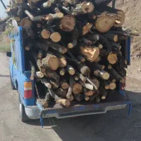 خرید چوب وقلمه بصورت نقدی