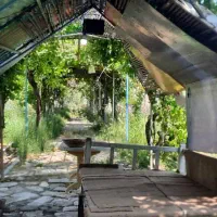 مناسب کشاورزی و کارگاه و اصناف مختلف|اجارهٔ دفتر صنعتی، کشاورزی، تجاری|شهریار, کهنز|دیوار