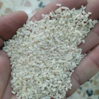 لاشه برنج هاشمی
