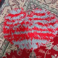 پادری دست بافت|پادری|گرگان, |دیوار