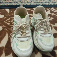 کفش شیک|کیف، کفش، کمربند|شیراز, پودنک|دیوار