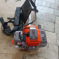 هرس کردن درخت|خدمات باغبانی و درختکاری|گرگان, |دیوار