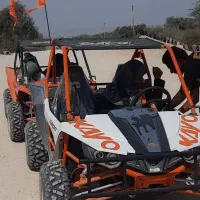 مکانیک چهارچرخ باگی