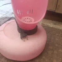 دستگاه بخور گرم