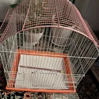 قفس پرنده|لوازم جانبی حیوانات|قدس, شهر‌قدس|دیوار