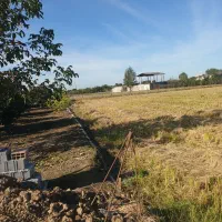 فروش زمین با مجوز گلخانه|فروش زمین و ملک کلنگی|ساری, |دیوار