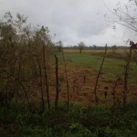 فروش زمین تک برگ سند  ۲۵۰ متر مسکونی جاده جیرده