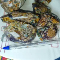 شجر|کلکسیون اشیاء عتیقه|فردوس (خراسان), |دیوار