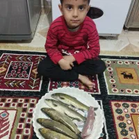 فروش ماهی صیدجغاتی هرروز