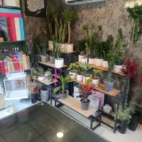واگذاری گلفروشی فول امکانات