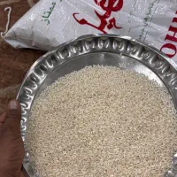 برنج عنبر بو|خوردنی و آشامیدنی|بندر ماهشهر, |دیوار