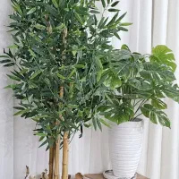 درختچه مصنوعی(تنه طبیعی و برگ وارداتی)