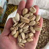 پسته درجه یک اکبری