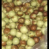 عناب ترد شمال