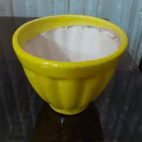 میوه خوری گل سرخ|ظروف سرو و پذیرایی|بروجرد, |دیوار