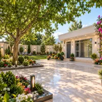 پلاک300مترشمالی-تاپ-لوکیشن-مرداویج