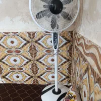 پنکه نو نو