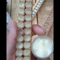 ژل رویال باگرده گل عسل
