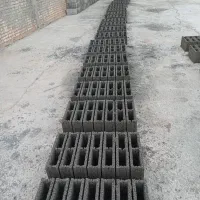 بلوک دوستان لیکا