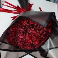 گل روبانی قرمز